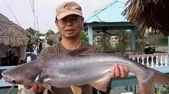 杂志|垂钓界的八位大内高手