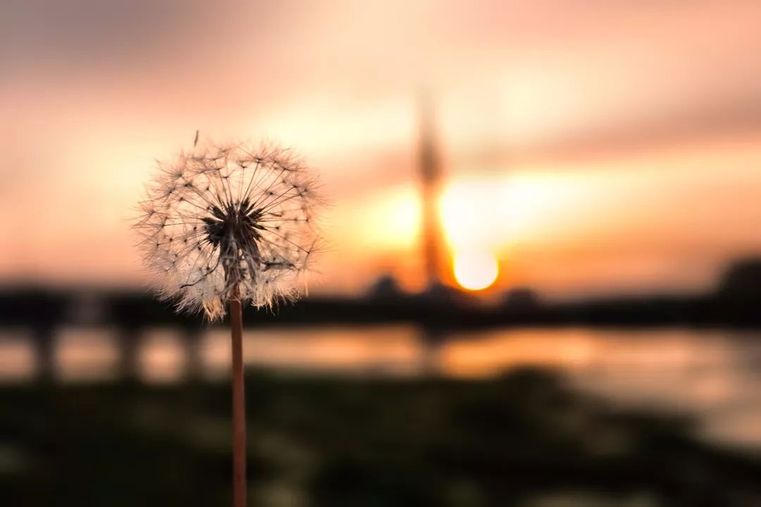 源说情感 网红直播喝农药，引无数网友怂恿：善良的门槛，其实没那么高