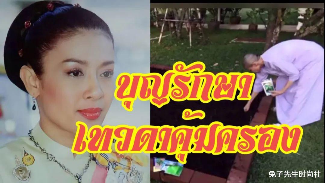 西拉米|西拉米骨瘦如柴，细手腕上青筋弯弯曲曲，7年“闭关”日子太落魄