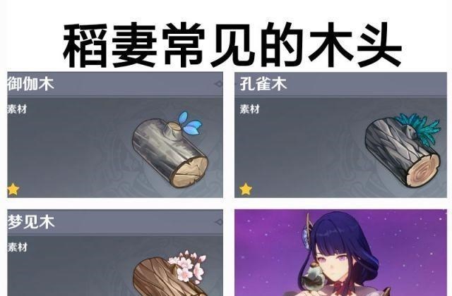 安一妈妈学育儿|原神:国外最受欢迎角色评选,雷神仅排第二,刻晴无缘四强