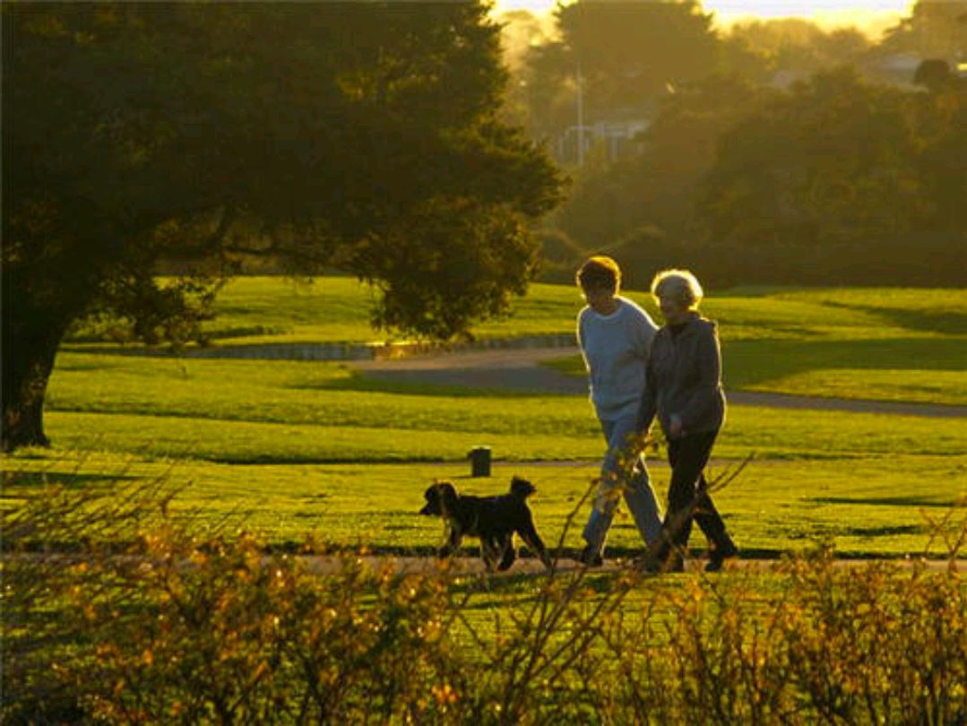 |经常散步对肺部有好处吗？提醒：肺喜三件事，想要肺好，建议多做