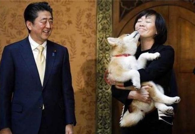 安倍晋三|一物降一物！安倍昭惠不生孩子，无视婆婆，安倍晋三却拿她没办法