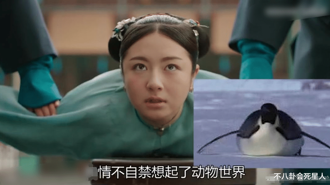 赵露思|一胖毁所有！赵露思新剧胖成球，李兰迪的“教训”还历历在目