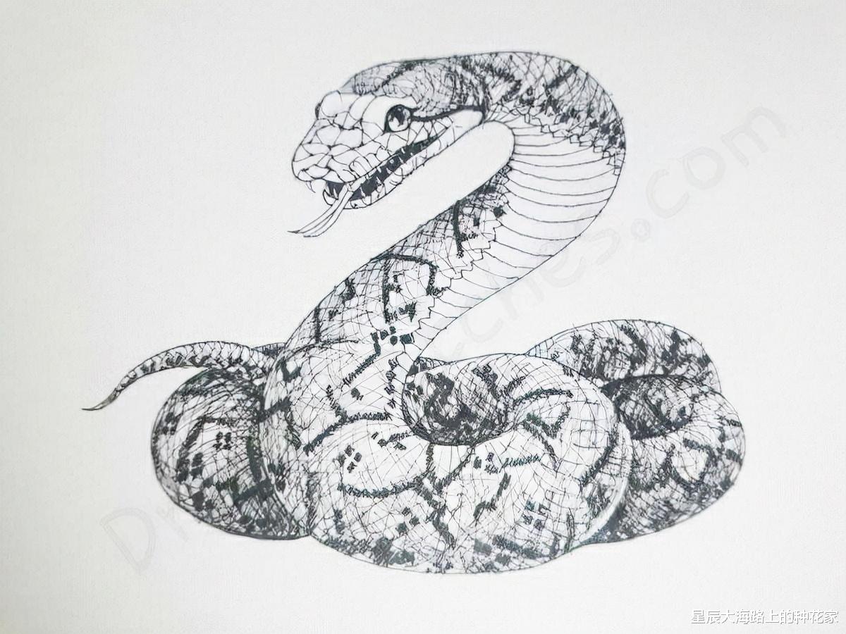 巨蟒 还有这种操作?4米巨蟒吞下山羊,专家蛇腹掏羊!这羊还能吃吗?