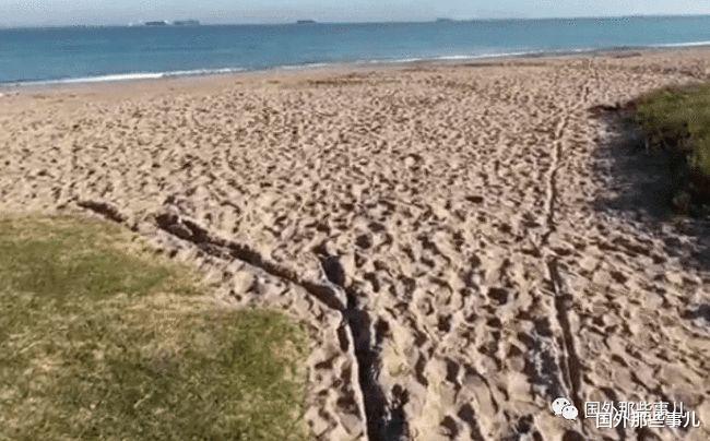 外星人 男子自称是穿越者，称外星人将于2022年登陆地球