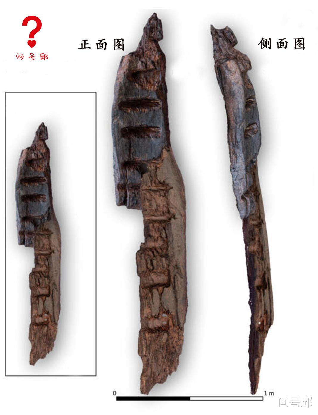 考古学家 爱尔兰沼泽新发现：考古学家挖掘出2.5米高的1600年异教徒神像