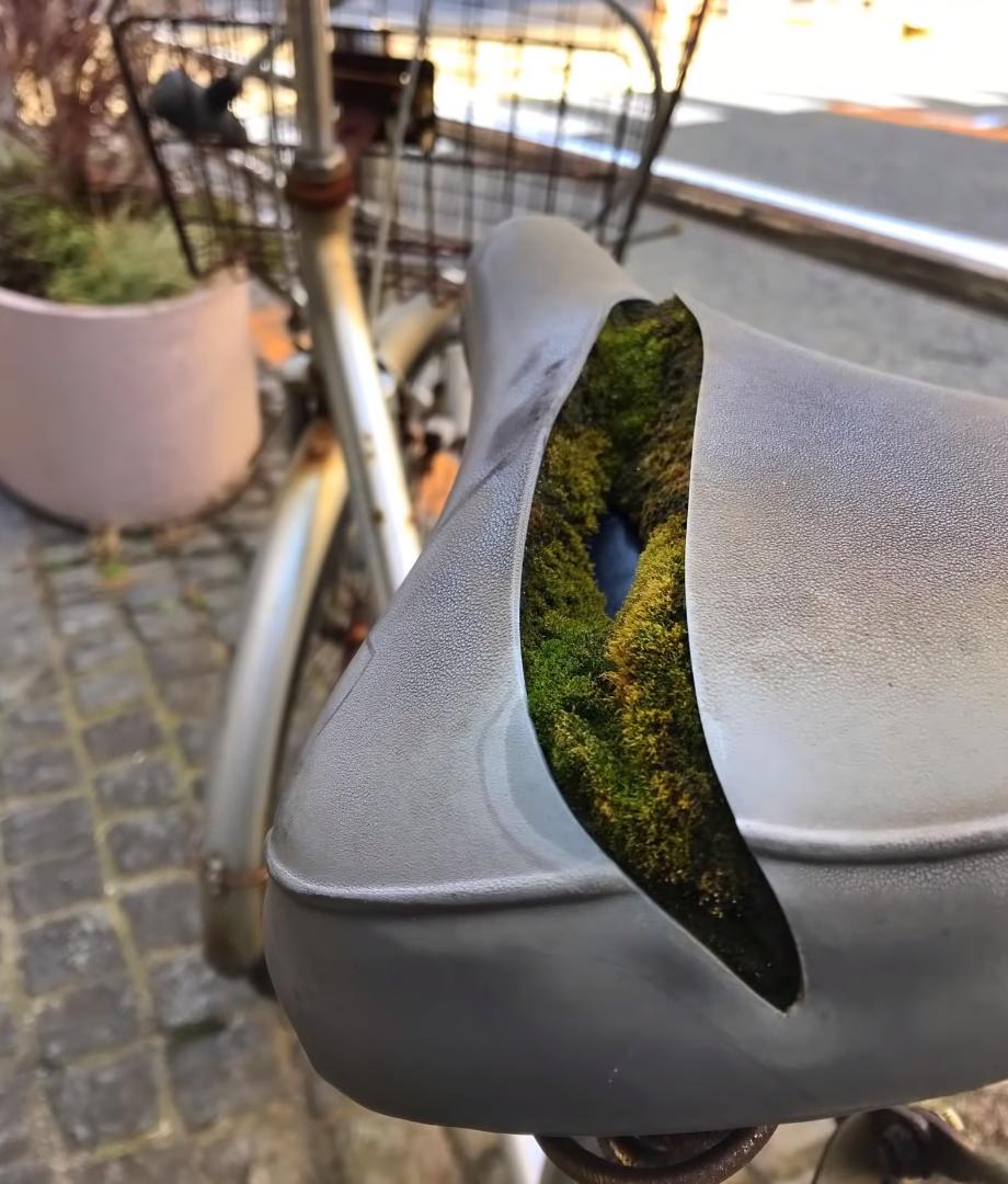 海之归墟|27张罕见的照片，展现了常见事物“不常见”的一面