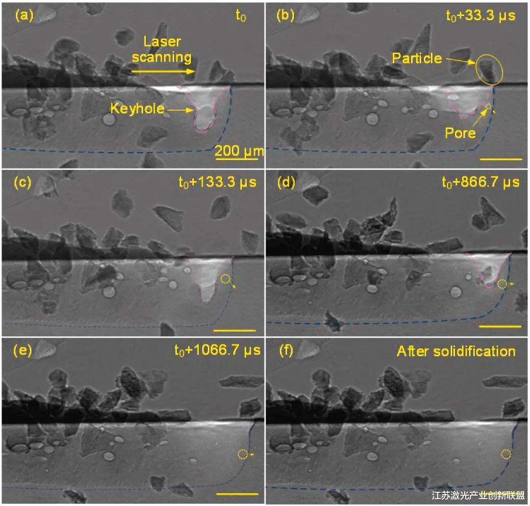 x光 原位高速高分辨率X射线影像揭示送粉增材制造时气孔的形成机理及其动力学