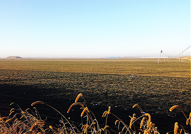麦熟天 冰天寒地，冷风中，我呼唤，一个快乐温暖的舒缓人间！