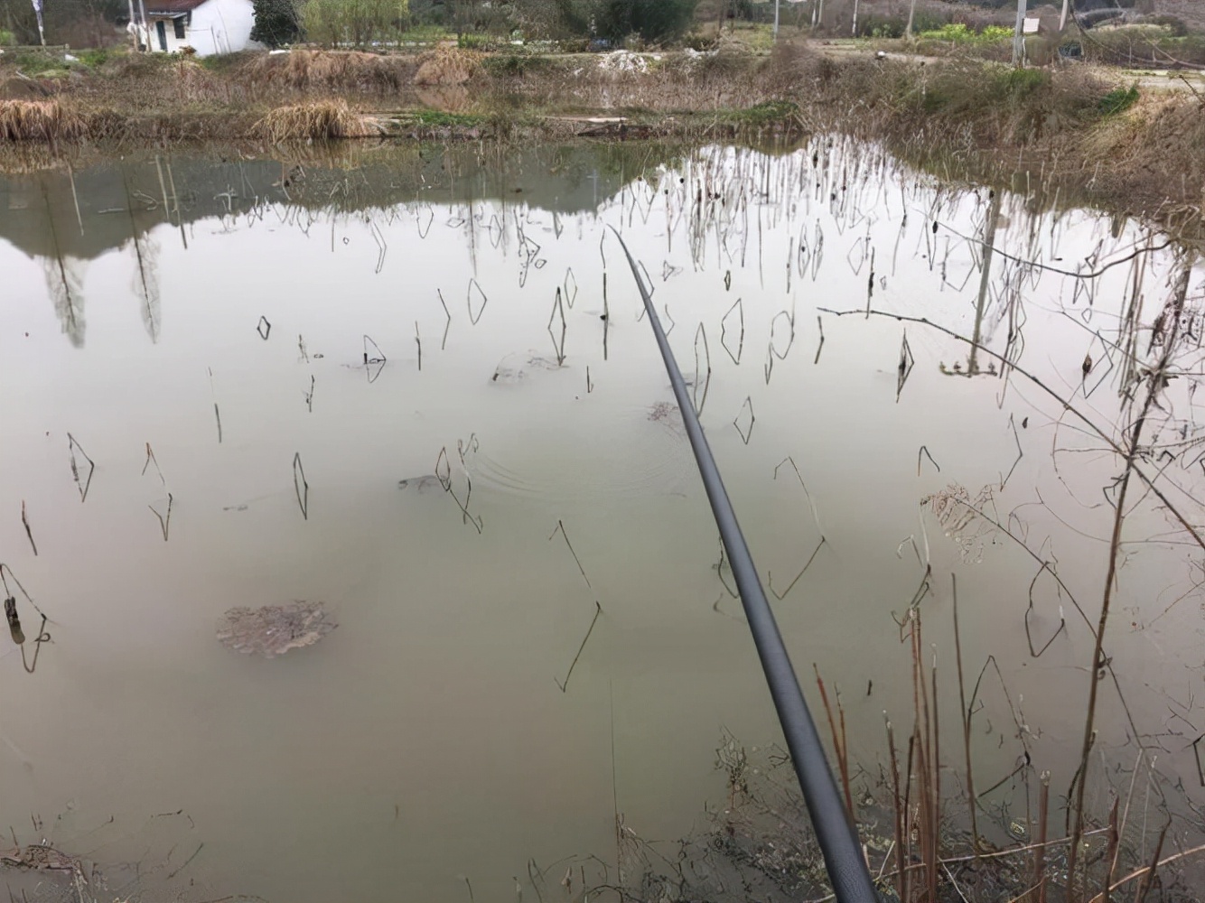饵料|为何别人冬钓连杆，自己鱼口全无，走开这几个误区，连杆其实不难