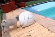 河内|某男子在河边钓鱼,电瓶车看不过去,出轮将其顶入河内