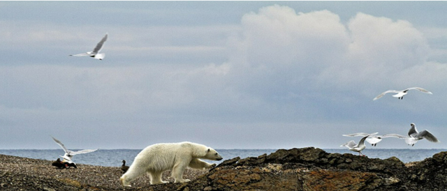 科学家为永生，给自己注射350万年前“僵尸细菌”，如今怎样了？