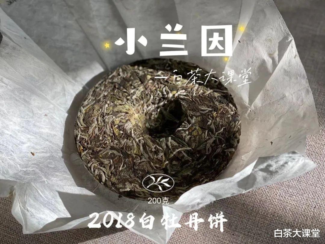 茶具|玻璃杯、白瓷盖碗、紫砂壶，哪个更适合冲泡老白茶？