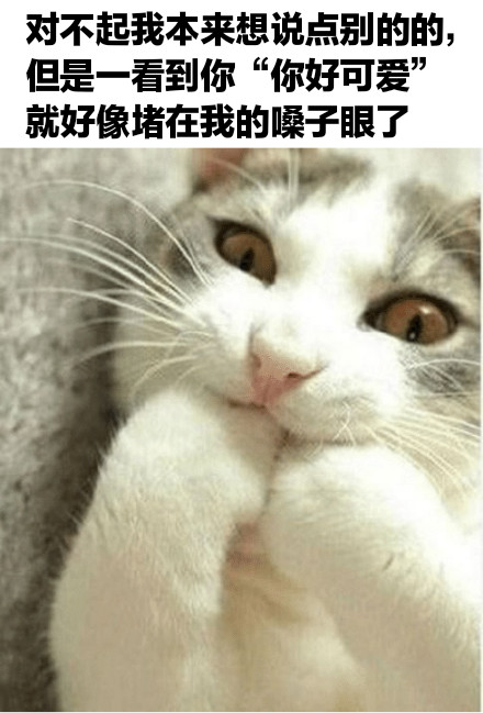 桉月|表情包：你今天也很可爱