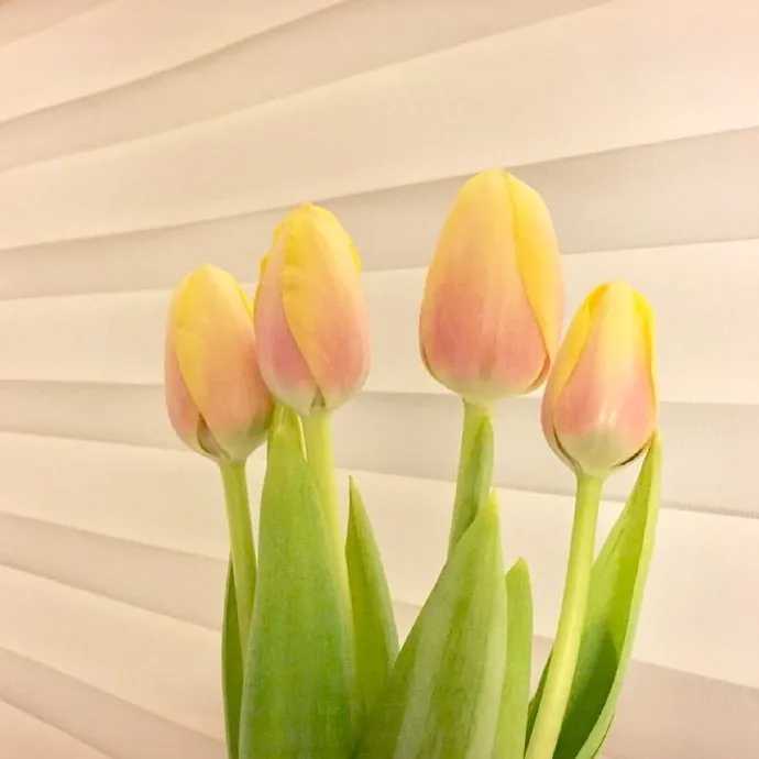 情感语录生活感悟|送给教师的通俗祝福语,简短温馨,节日快乐!