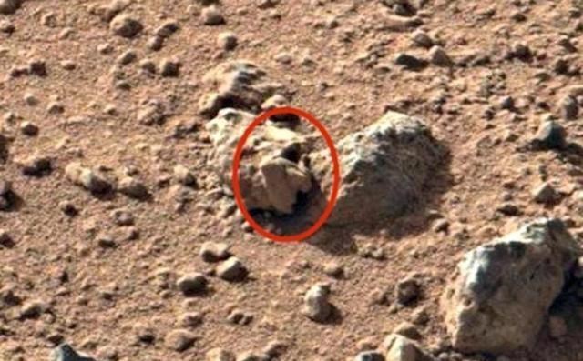 火星|好奇号传回：疑似“人骨”高清照片？NASA证实确实来自火星