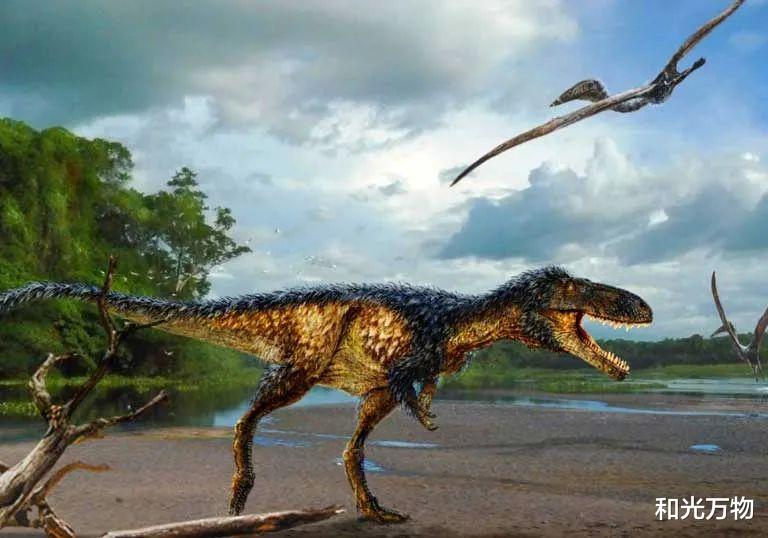 和光万物|中生代鲨齿龙恐龙,锯齿状牙齿、长达8米,曾与霸王龙分庭抗礼!