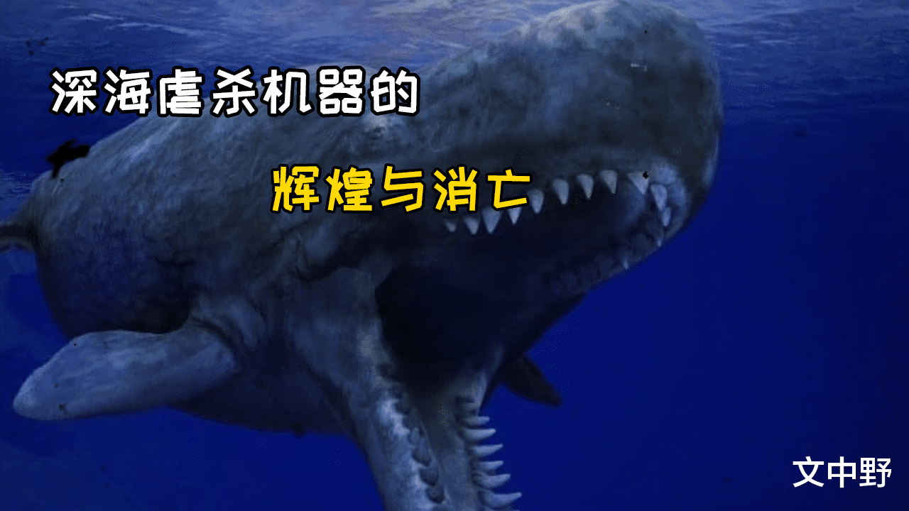 水冰 史前巨兽最大的鲨鱼