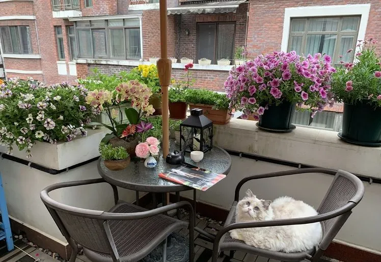 荒废了四年的10㎡北露台,改造成花园后,成了全家人最爱待的地方