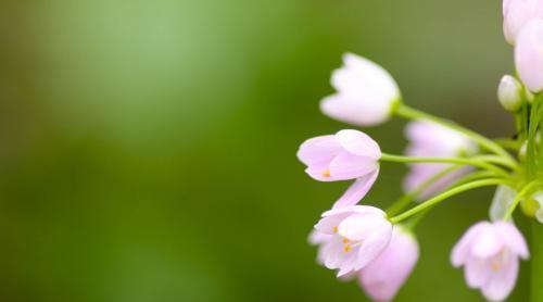 教闲 表面文艺的星座,却点到为止,比别人复杂,五彩斑斓,只是泡沫