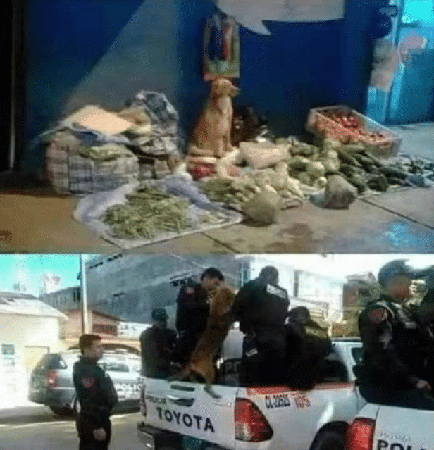 “出差一周回来后，看到亲戚给我装修的婚房！”我瞬间崩溃了啊