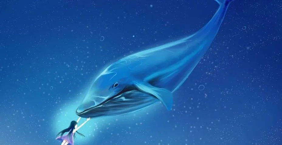 核聚变 蓝鲸被称为地球上的“巨无霸”，那它有没有对手呢？本文给你揭秘