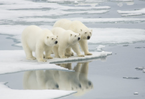 环球视野秘闻|IPCC:全球变暖导致洪水、干旱、高温变得频繁