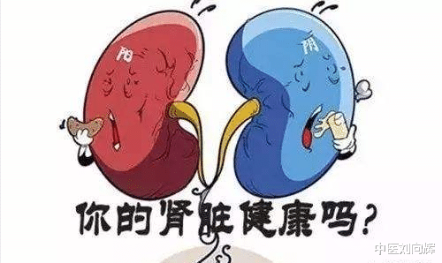 医生|身体阳虚，还怕冷？解读一剂九味羌胡汤，可温肾助阳，祛风散寒