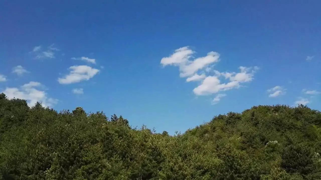 南怀瑾|“生气不如争气”南怀瑾：愚者只会生气，智者主动争取