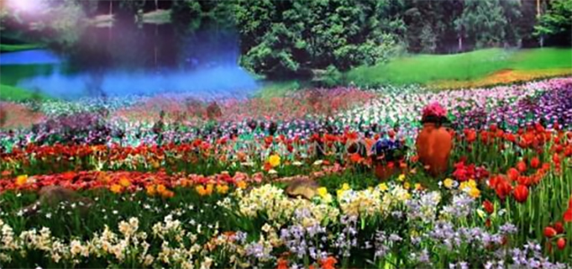 紫檀|各花入各眼——紫檀黄花梨大众选美会是什么目的？