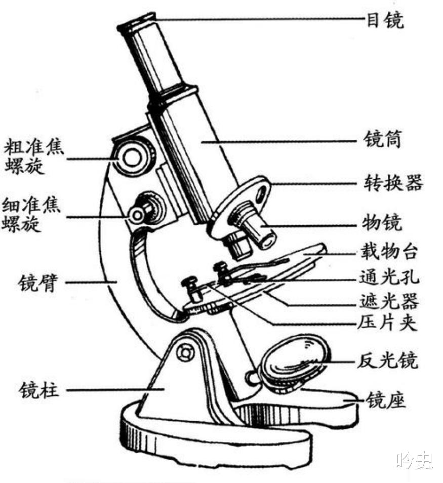 显微镜 他改进光学显微镜，记录了人类首次观察到微生物形态