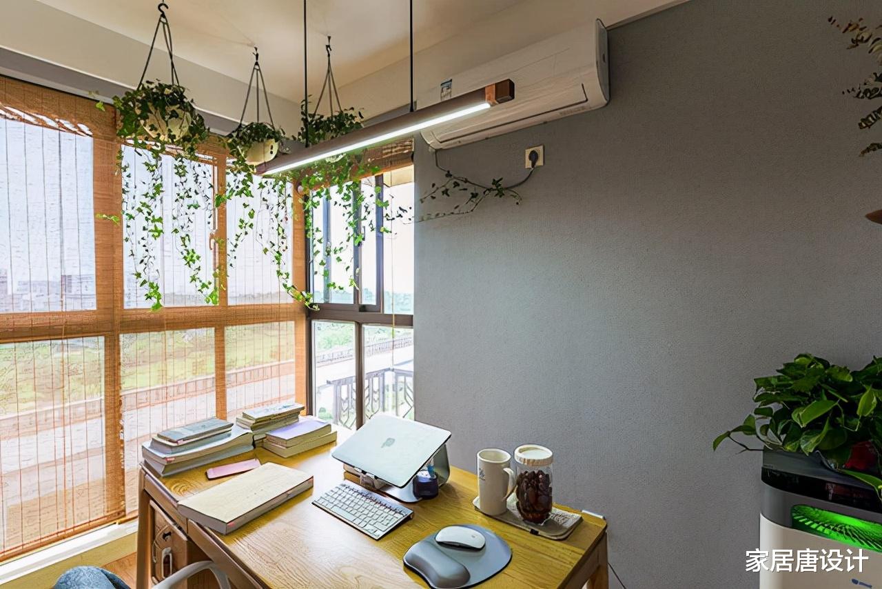 在读女博士的新家,随处可见的植物,超清新,女主人的想法真独特