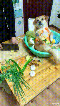 资产负债表 为什么有的人一千块都拿不出来,还觉得二三十万是小钱,网友:你报我身份证号吧