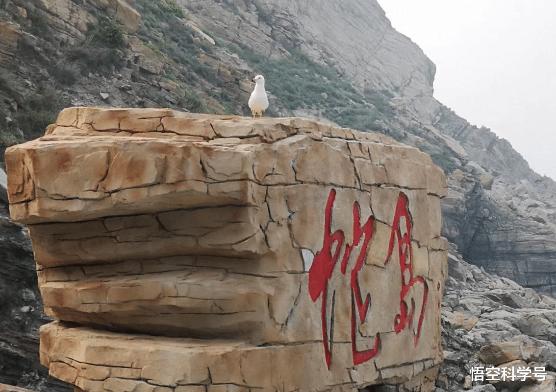 悟空科学号 大连蛇岛大约有两万条蛇，如果放两只蜜獾上去，大概多久能吃完？