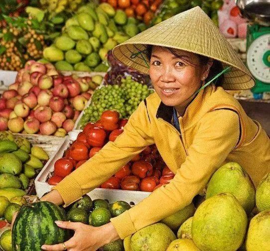 越南中文君 越南百万吨水果或滞销,果农哭了!盼中国增设口岸“搭救”