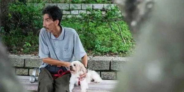 陈慧珊|香港当红女星沦为内地培训班讲师？这群悄然消失在热搜的人，哭着说出了真相