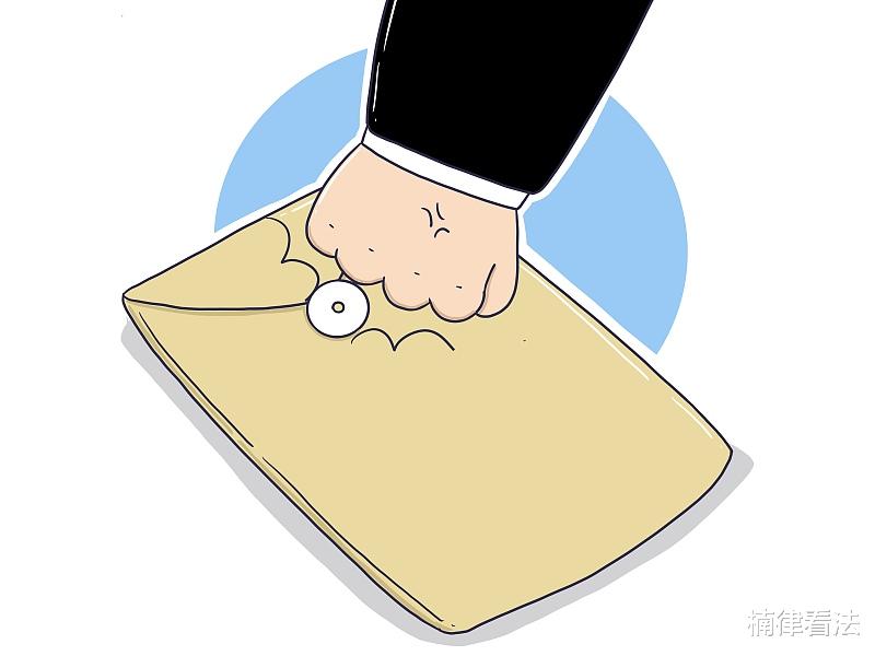 楠律看法 案例 政府采购活动中提供虚假材料谋取中标的责任分配问题