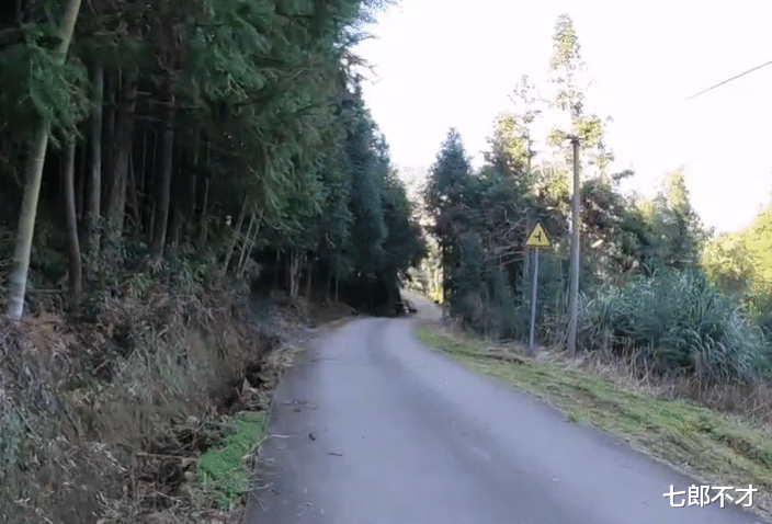 七郎不才 福建深山内的“豪宅”：2位老人守着5栋房子，“藏”在竹林深处