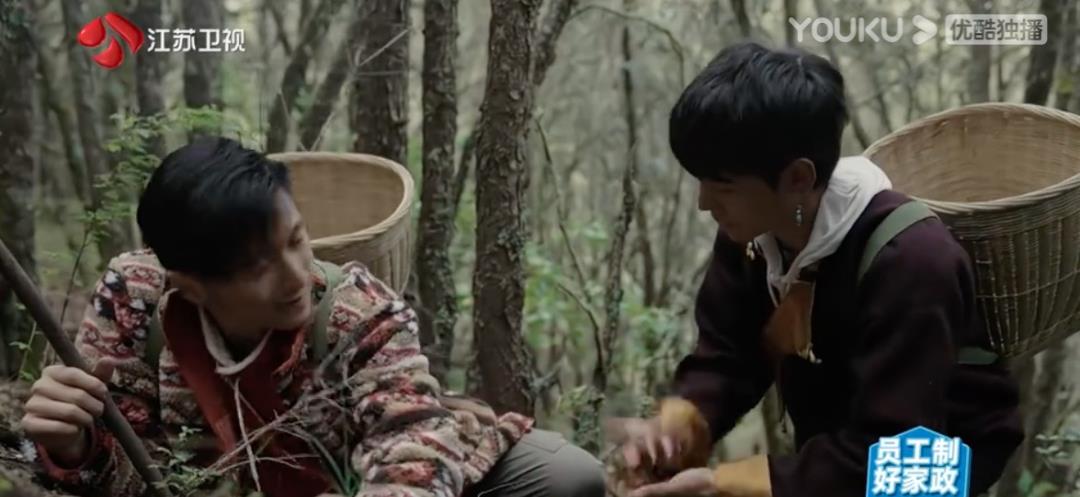 谢霆锋|谢霆锋丁真被全网磕疯,我却只看到两个自由的灵魂