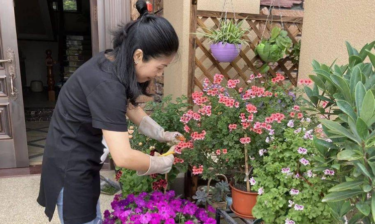 阿笨语录 深圳80后夫妻，因打理花园而走红，色调搭配堪称“教科书”！