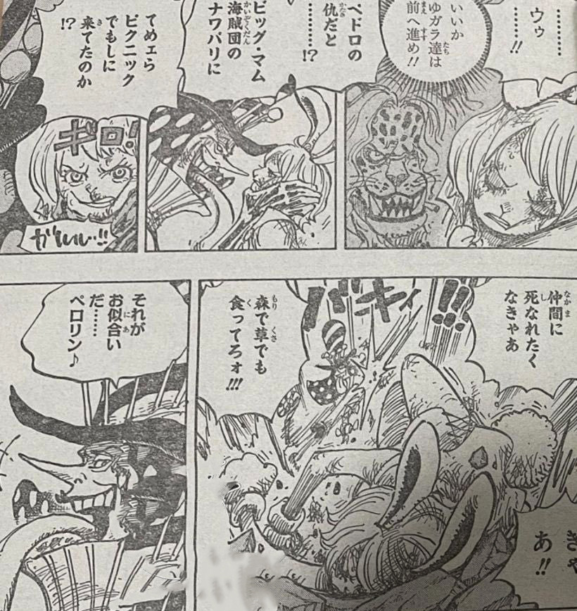 海贼王|海贼王1006话:小马哥被烬斩落翅膀,豹五郎释放“生命归还”