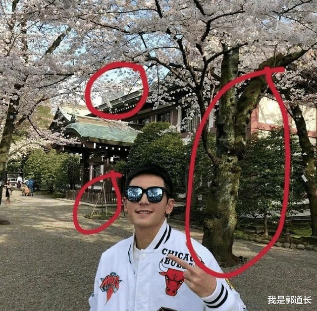 维和防暴队|《维和防暴队》已杀青，当机立断，依然宣布停止与张哲翰合作