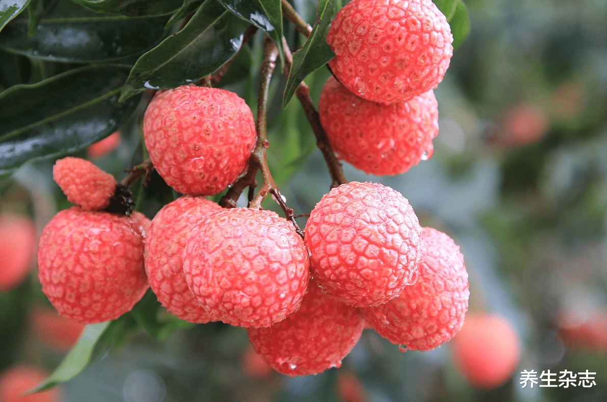 养生杂志|23岁姑娘,甲状腺结节恶化,甲乳外科:这3种水果或是“源头”