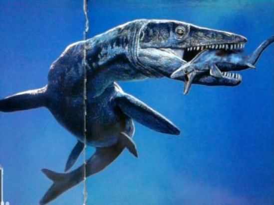 沧龙 沧龙：一只小崖蜥只用了数百万年，就逆袭为白垩纪末的海中梦魇