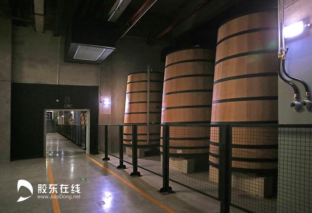 胶东在线 别有洞天！走进金奖大酒窖“品尝”百年张裕的百味风华