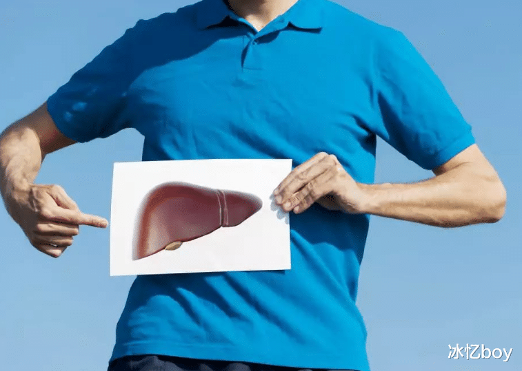 雄激素|肝脏的“清洁剂”找到了，每天喝一点，给你的肝脏“洗洗澡”