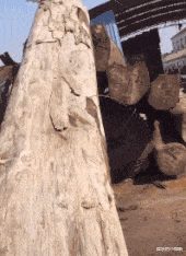 穿衣搭配 “闺蜜花2w烫了个发型,结果自拍晒到朋友圈,这谁顶得住啊!”