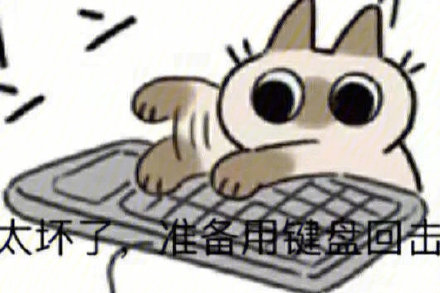 表情包|表情包：太坏了准备更坏