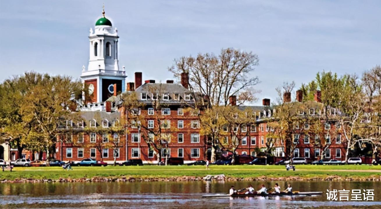 韦东奕|韦东奕生活费曝光，一“韦”等于多少“爽”，又等于多少“芒”？