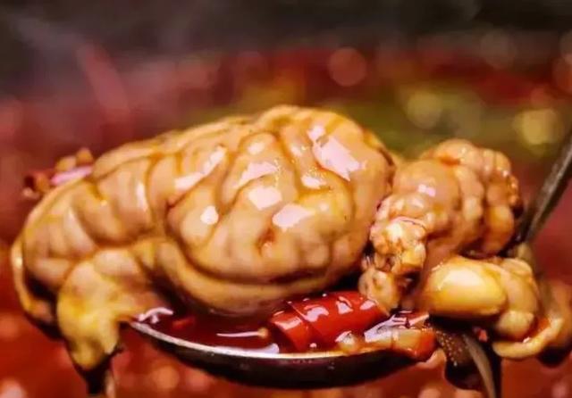 园艺家园|猪脑怎么样煮好？